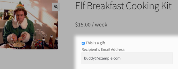 subscription-gifting-email-field-product-page subscription-gifting-email-field-product-page